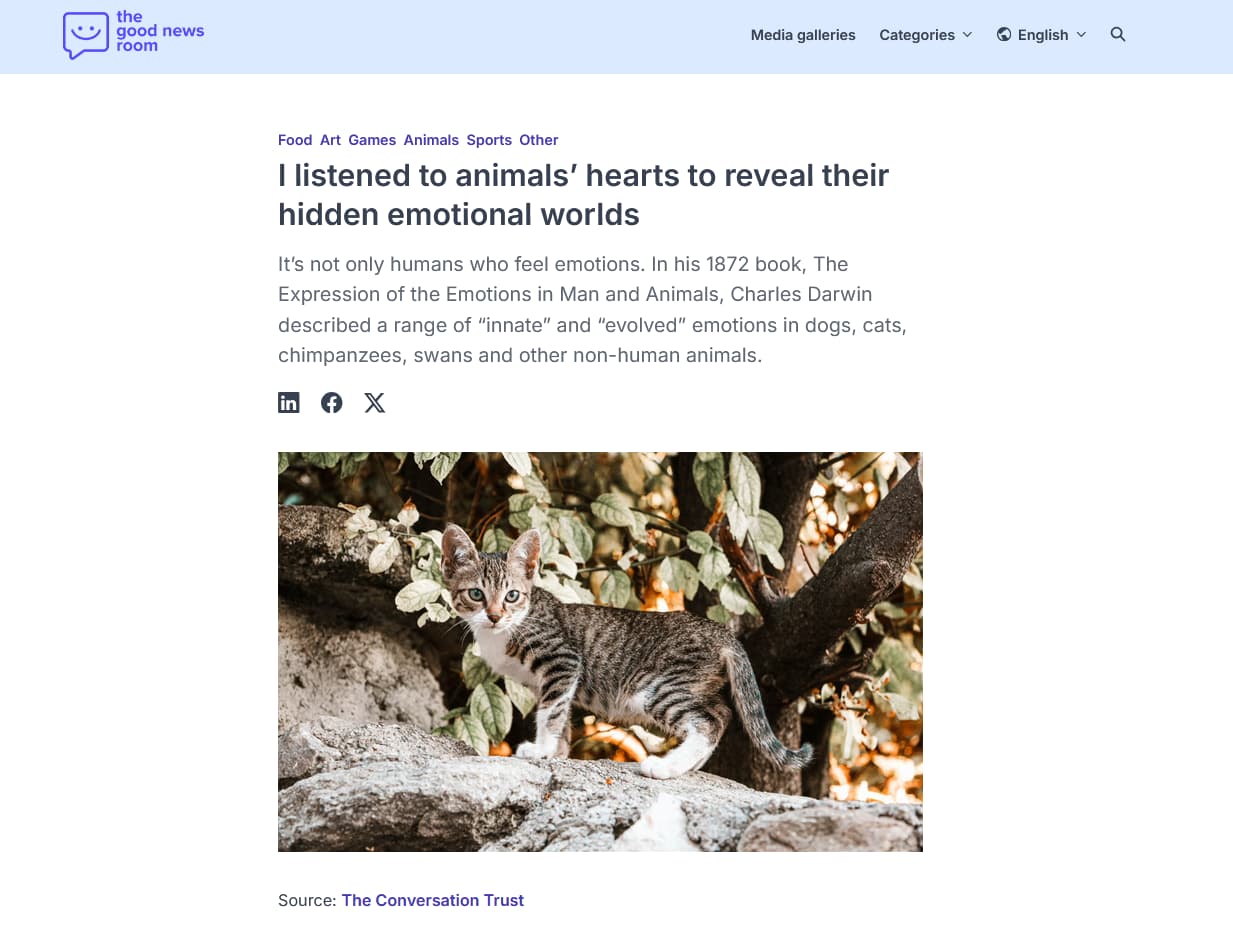 theme-nextjs-bea